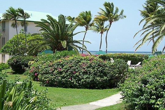 Colony Cove Beach Resort Кристианстед Экстерьер фото